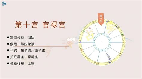 紫薇命盘解读图文_紫薇命盘免费测算解读,第22张